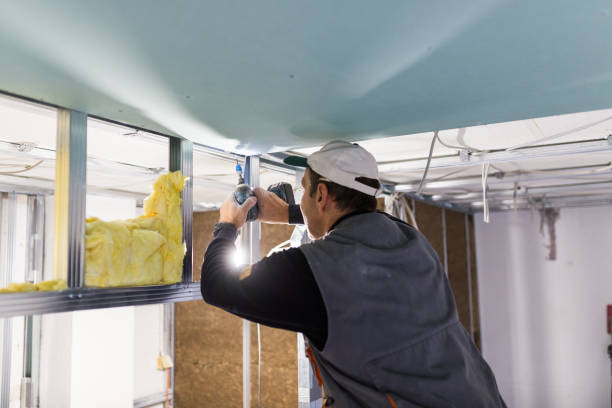 Types of Insulation We Offer in Royal Oak, MI