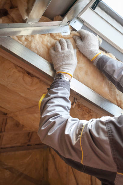 Best Geographic-Specific Insulation Services in Royal Oak, MI