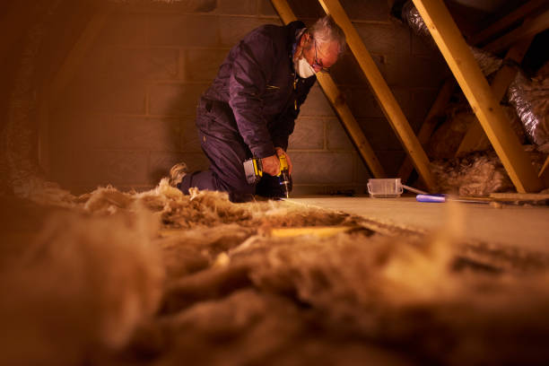 Best Commercial Insulation in Royal Oak, MI
