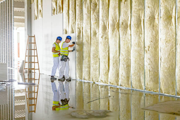 Best Insulation for Specific Applications in Royal Oak, MI